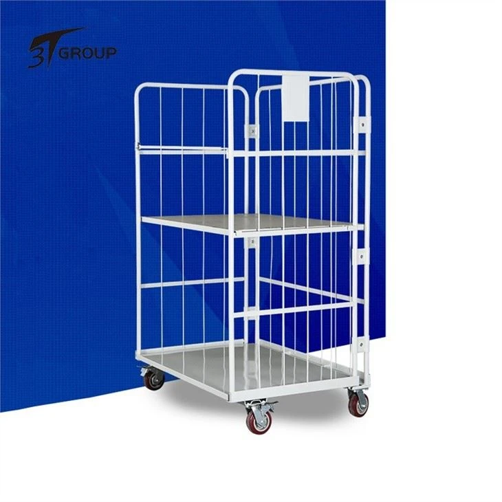 China 3 Sided Roll Cage (1)